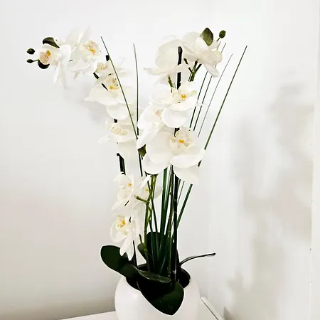 Deluxe Jade Apartmens Apartament Ni